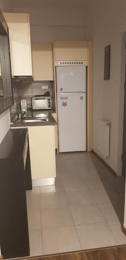 Grand Central Accommodation - Beldiman Букурещ Екстериор снимка
